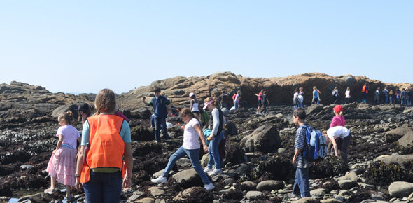 Pigeon Point - Exploring New Horizons